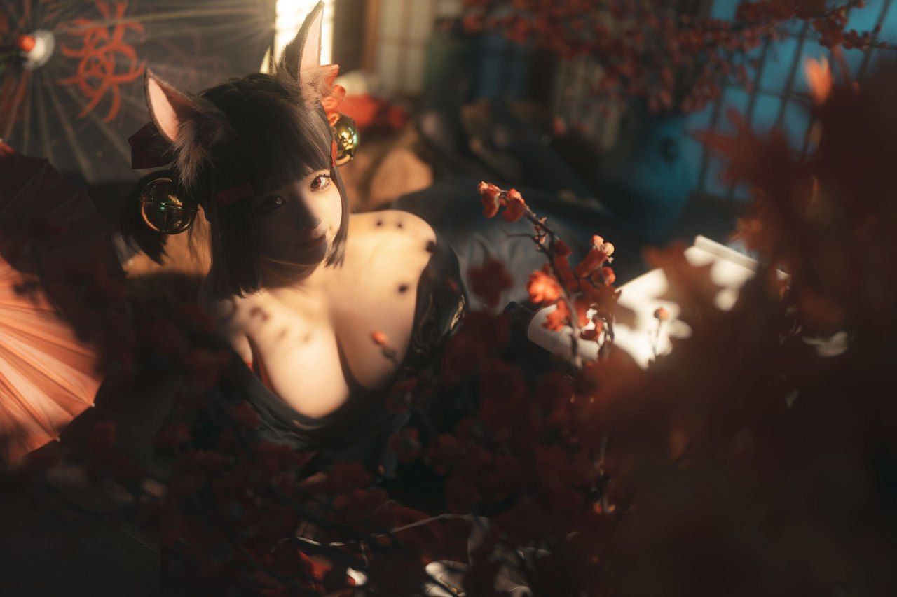 百度搜索 百度搜索