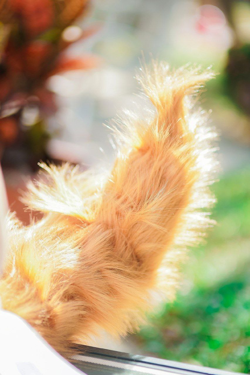 色天使久久综合给合久久 色天使久久综合给合久久