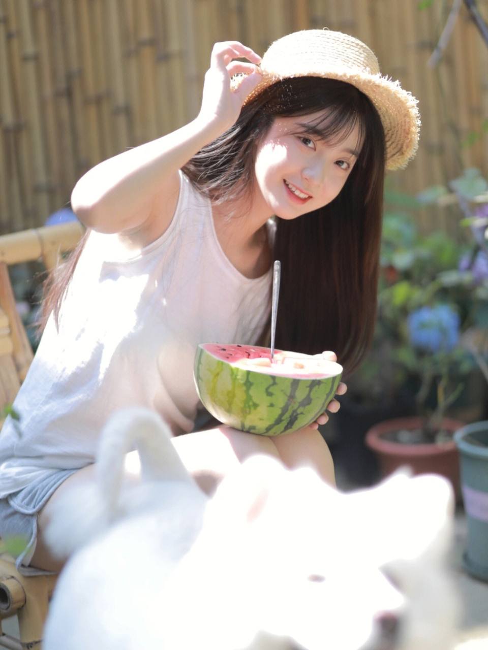 亚洲龙水晶高亮午夜蓝 亚洲龙水晶高亮午夜蓝