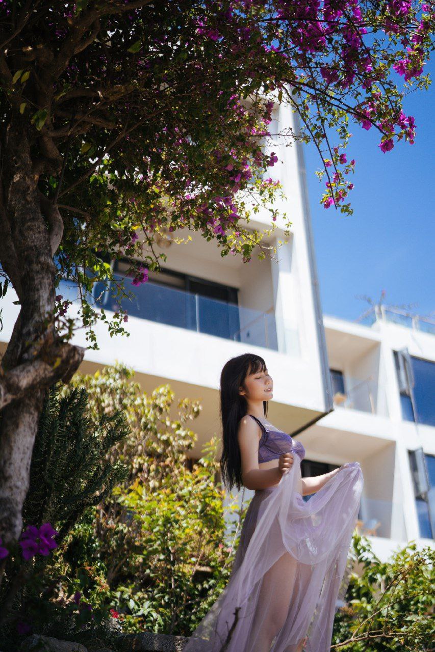 国产A人片免费 国产A人片免费