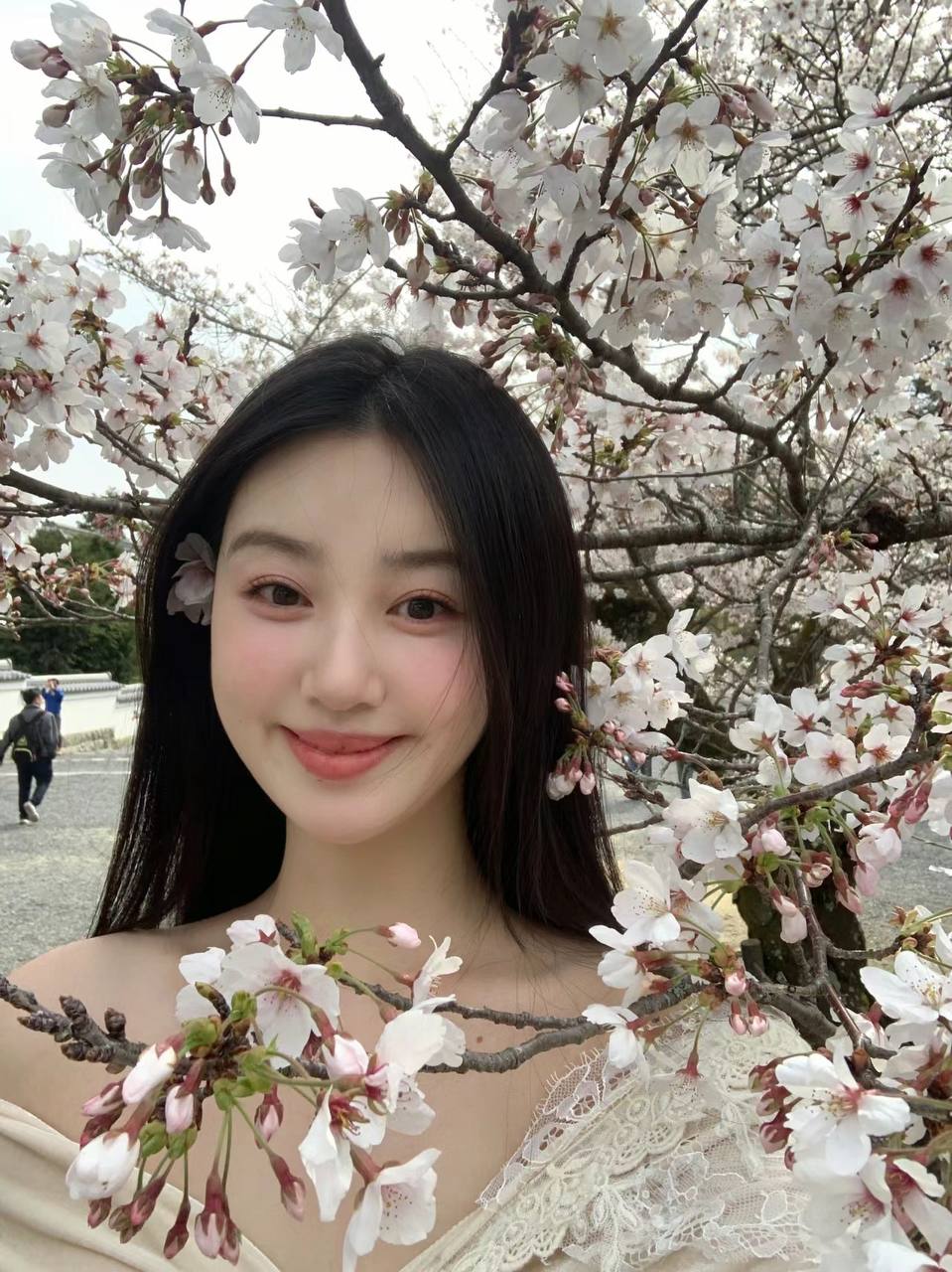 免费一区二区三区视频 免费一区二区三区视频