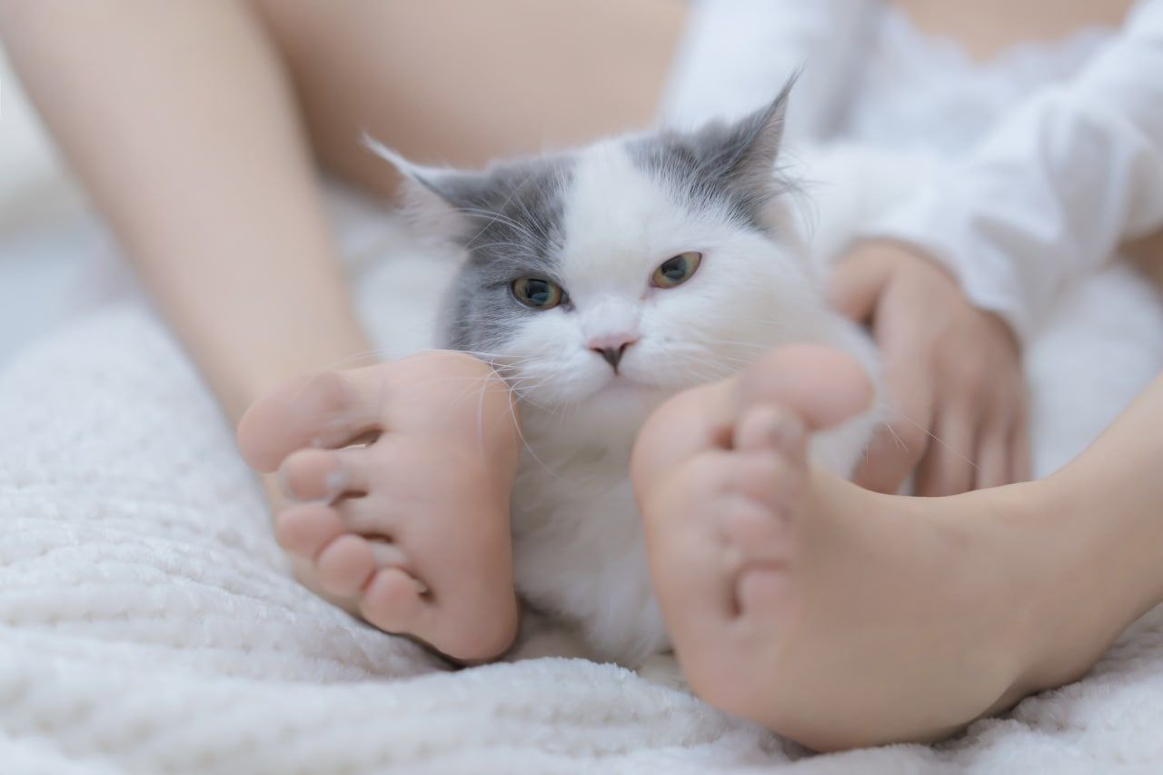 站长推荐午夜国产 站长推荐午夜国产