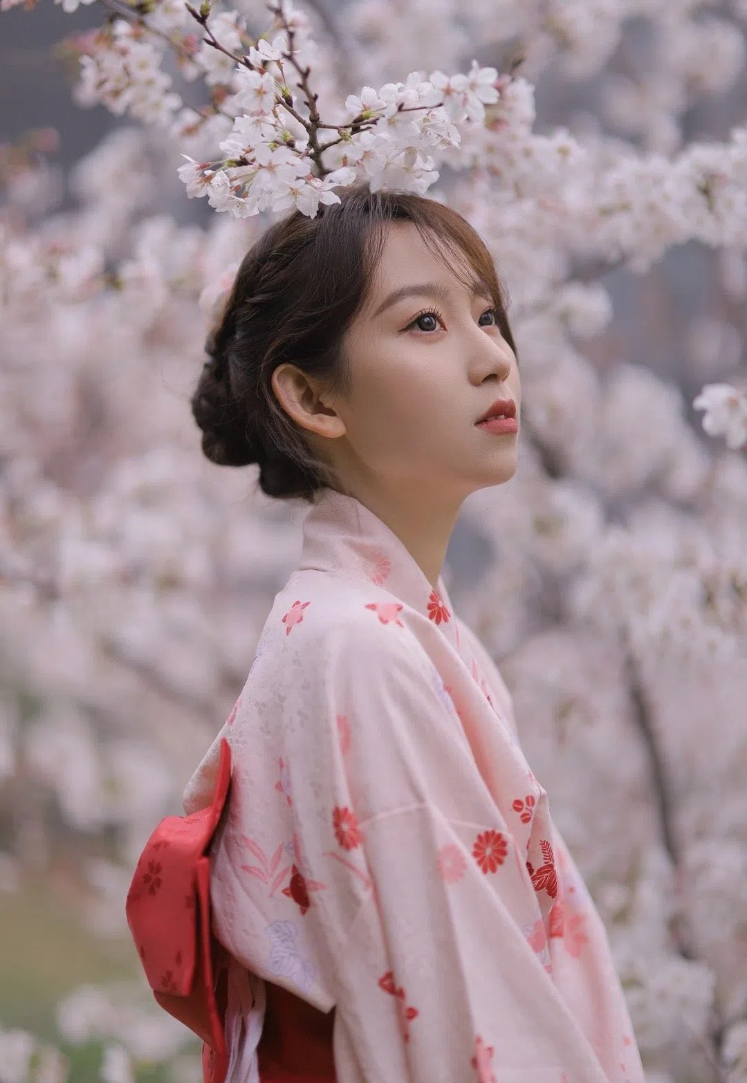 三上悠亚下载 三上悠亚下载