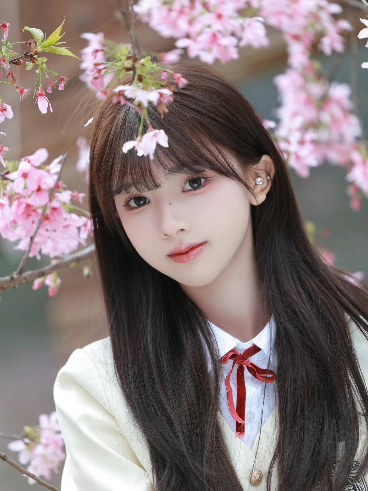 se在线中文字幕亚洲播放器