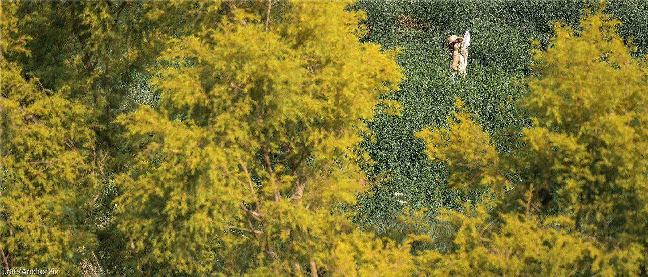 大香伊蕉在人线国产丝瓜视频 大香伊蕉在人线国产丝瓜视频