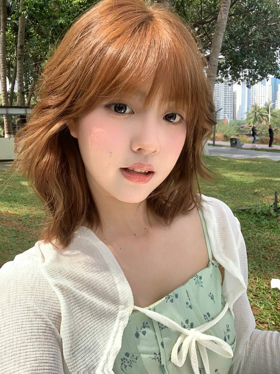 各类影视全部免费观看