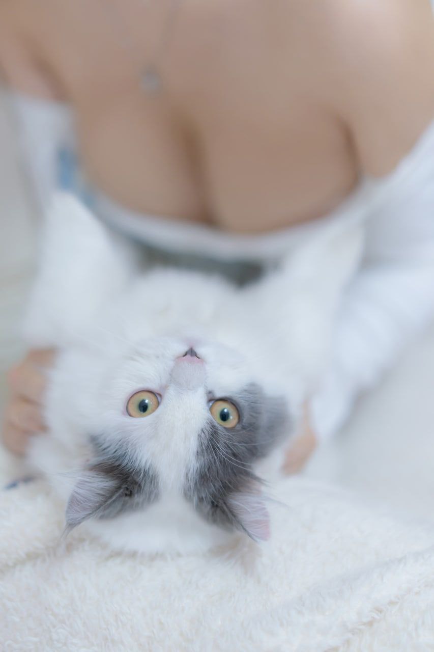 久久国产福利播放 久久国产福利播放