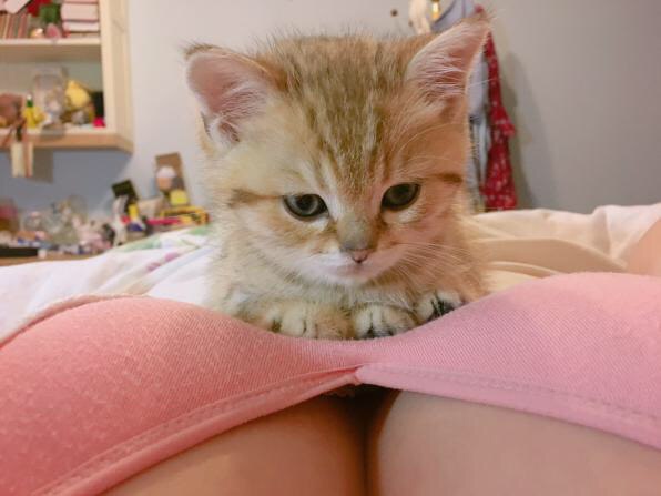 国产亚洲拍拍拍