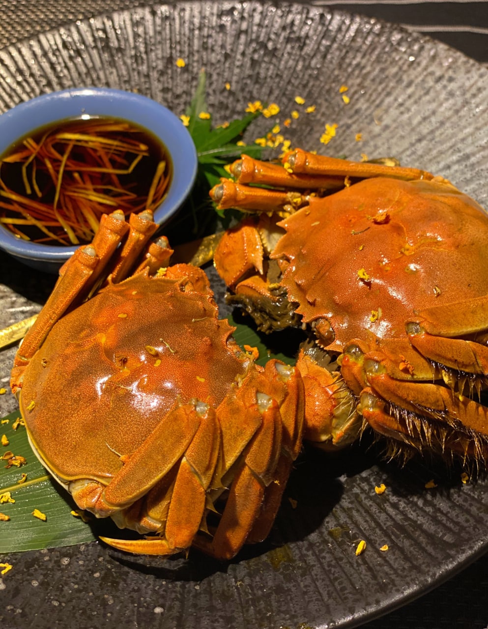 国产一级A 片视频 国产一级A 片视频