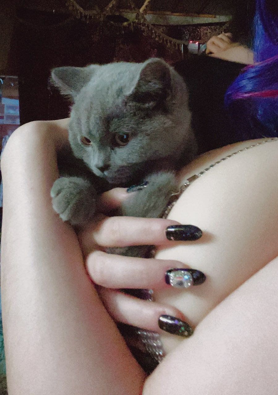 国产乱在线 国产乱在线