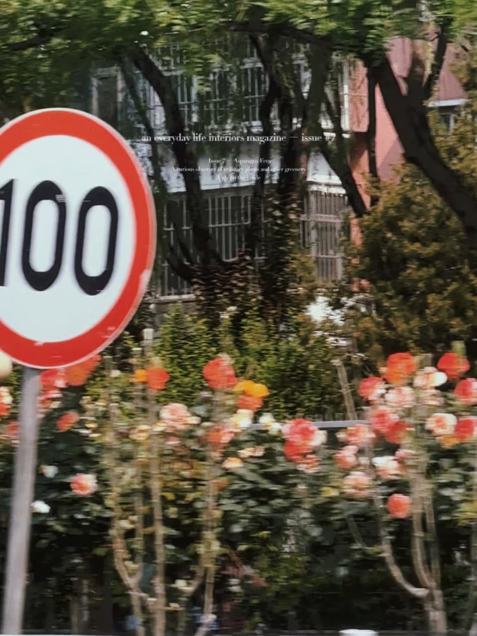 一个人的武林 在线观看 一个人的武林 在线观看